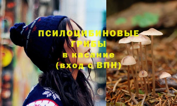 соль курить ск Арсеньев