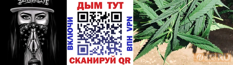 мориарти телеграм  Муравленко  Марихуана Amnesia 